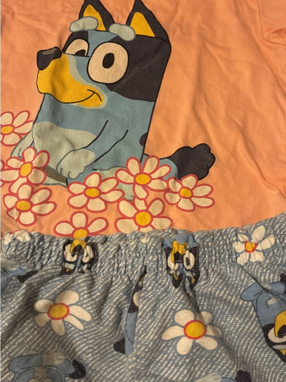 Kids Matching Set with Blue Puppy Print in Peach and Light Blue